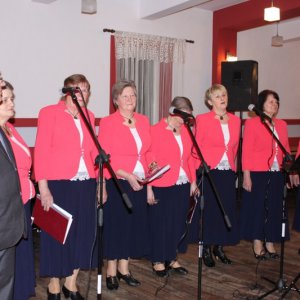 Koncert Karnawałowy w Milejczycach 31.01.2015